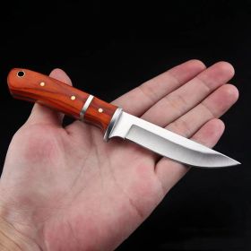 Wooden Handle Multi-purpose Household Fruit Knife